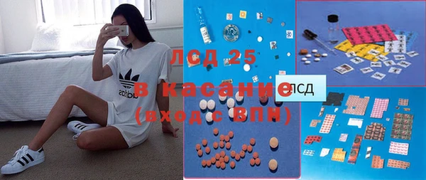 стафф Богданович