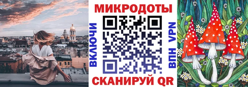 Купить где  Верхняя Пышма  Галлюциногенные грибы Psilocybine cubensis 